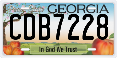 GA license plate CDB7228