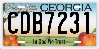 GA license plate CDB7231