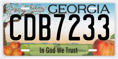 GA license plate CDB7233