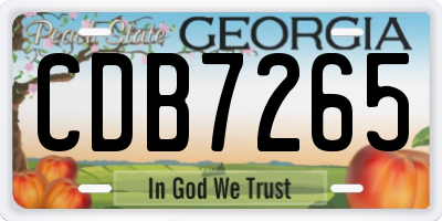 GA license plate CDB7265