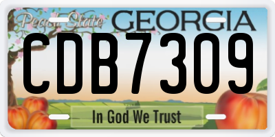 GA license plate CDB7309