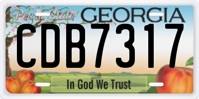 GA license plate CDB7317