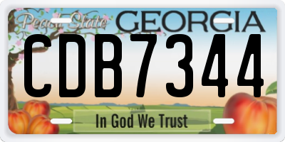 GA license plate CDB7344