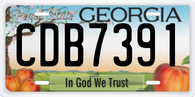 GA license plate CDB7391