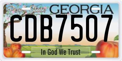 GA license plate CDB7507