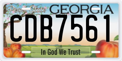 GA license plate CDB7561