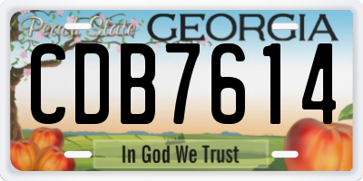 GA license plate CDB7614