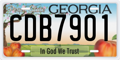 GA license plate CDB7901