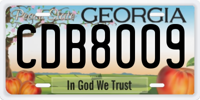 GA license plate CDB8009