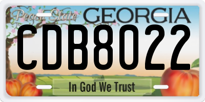 GA license plate CDB8022