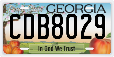 GA license plate CDB8029