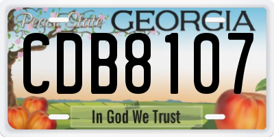 GA license plate CDB8107