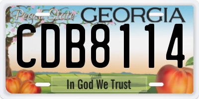 GA license plate CDB8114