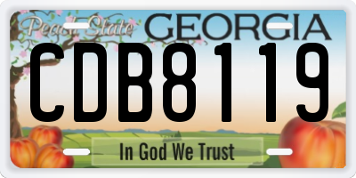GA license plate CDB8119