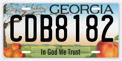 GA license plate CDB8182