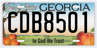 GA license plate CDB8501