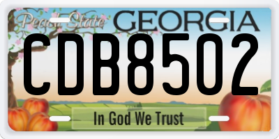 GA license plate CDB8502
