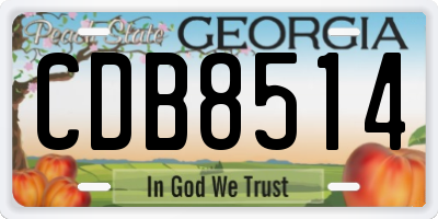 GA license plate CDB8514