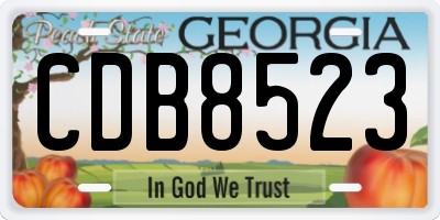 GA license plate CDB8523