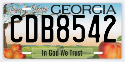 GA license plate CDB8542