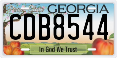 GA license plate CDB8544