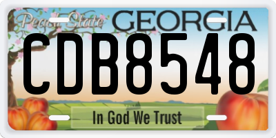 GA license plate CDB8548