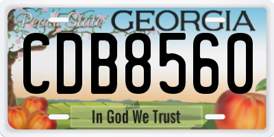 GA license plate CDB8560