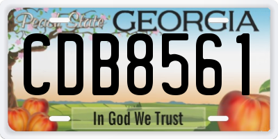 GA license plate CDB8561