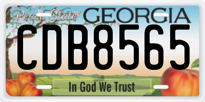 GA license plate CDB8565