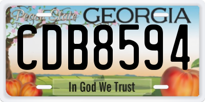 GA license plate CDB8594