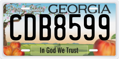 GA license plate CDB8599