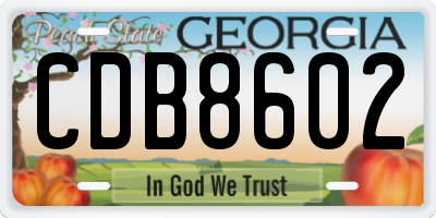 GA license plate CDB8602