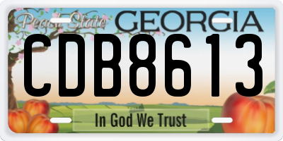 GA license plate CDB8613