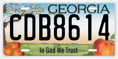 GA license plate CDB8614