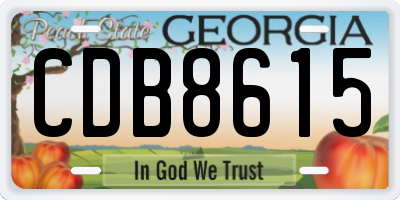 GA license plate CDB8615