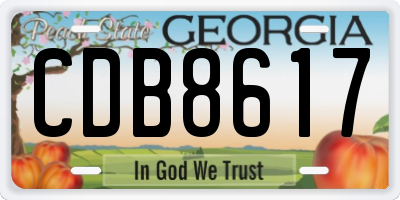 GA license plate CDB8617