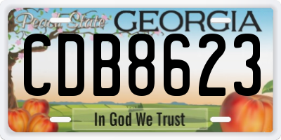 GA license plate CDB8623