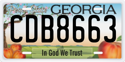 GA license plate CDB8663