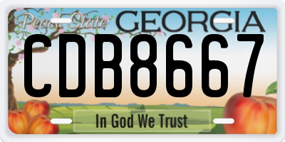 GA license plate CDB8667