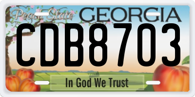 GA license plate CDB8703