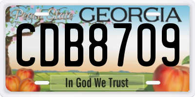 GA license plate CDB8709