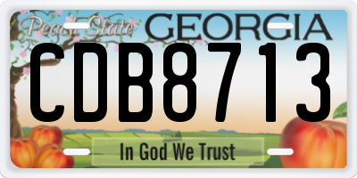 GA license plate CDB8713