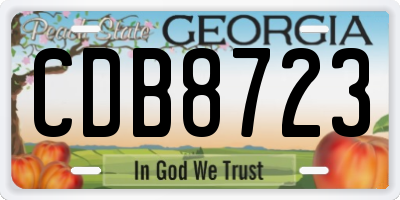 GA license plate CDB8723