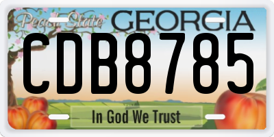 GA license plate CDB8785