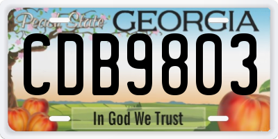 GA license plate CDB9803
