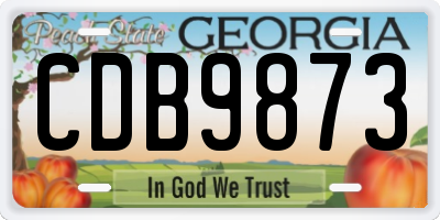 GA license plate CDB9873