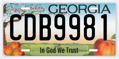 GA license plate CDB9981