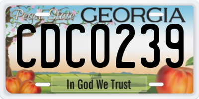 GA license plate CDC0239