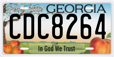 GA license plate CDC8264