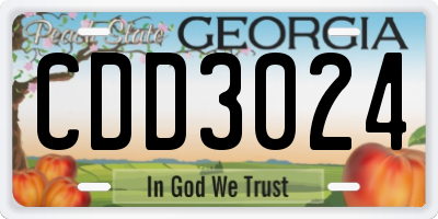 GA license plate CDD3024